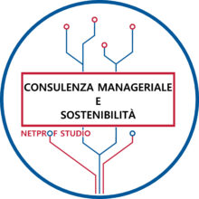 Consulenza Manageriale e Sostenibilità | Netprof Studio